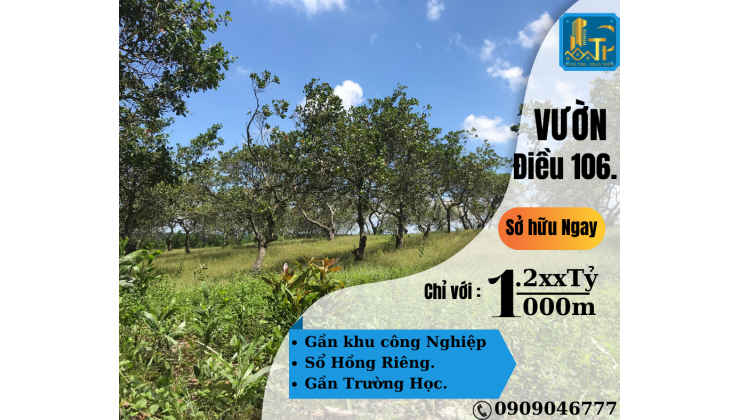 Đất nông, lâm nghiệp Bán đất vườn điều, 14m mặt tiền bêtông. Gần trung tâm TT Định Quán.